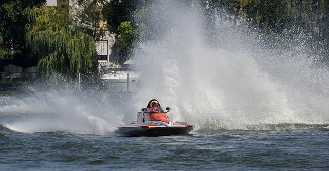 公益活动的 公益活动的