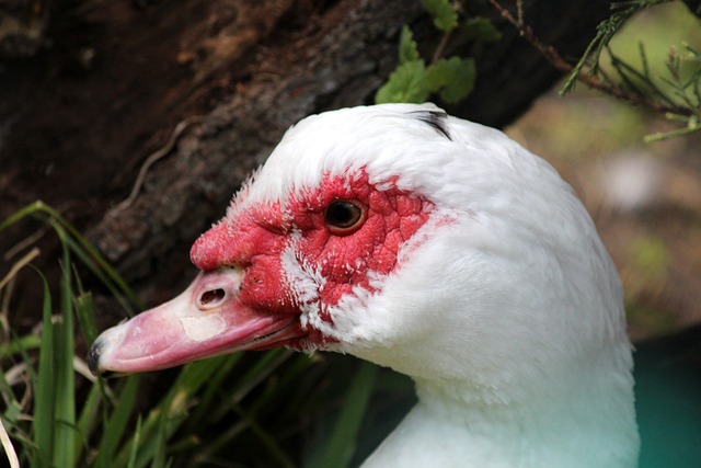 他不仅拿下 他不仅拿下