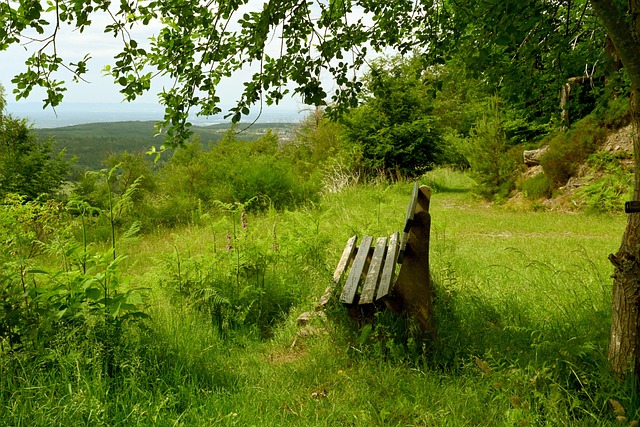 级足球赛场 级足球赛场