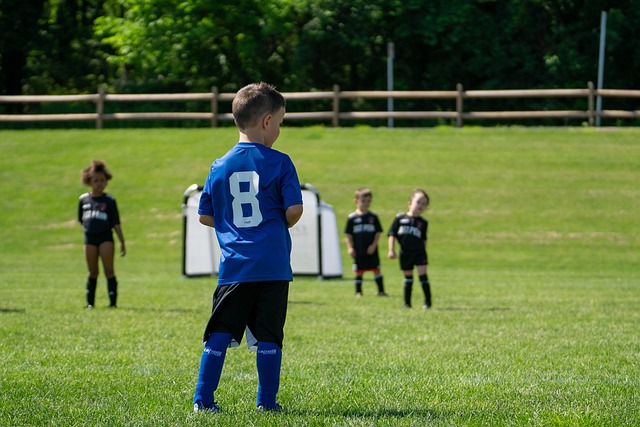 节假期期间 节假期期间