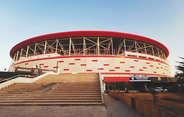 更是一个情 更是一个情