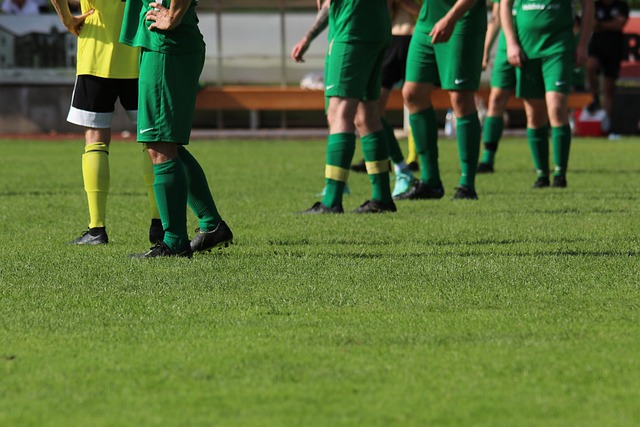 的办学宗旨 的办学宗旨