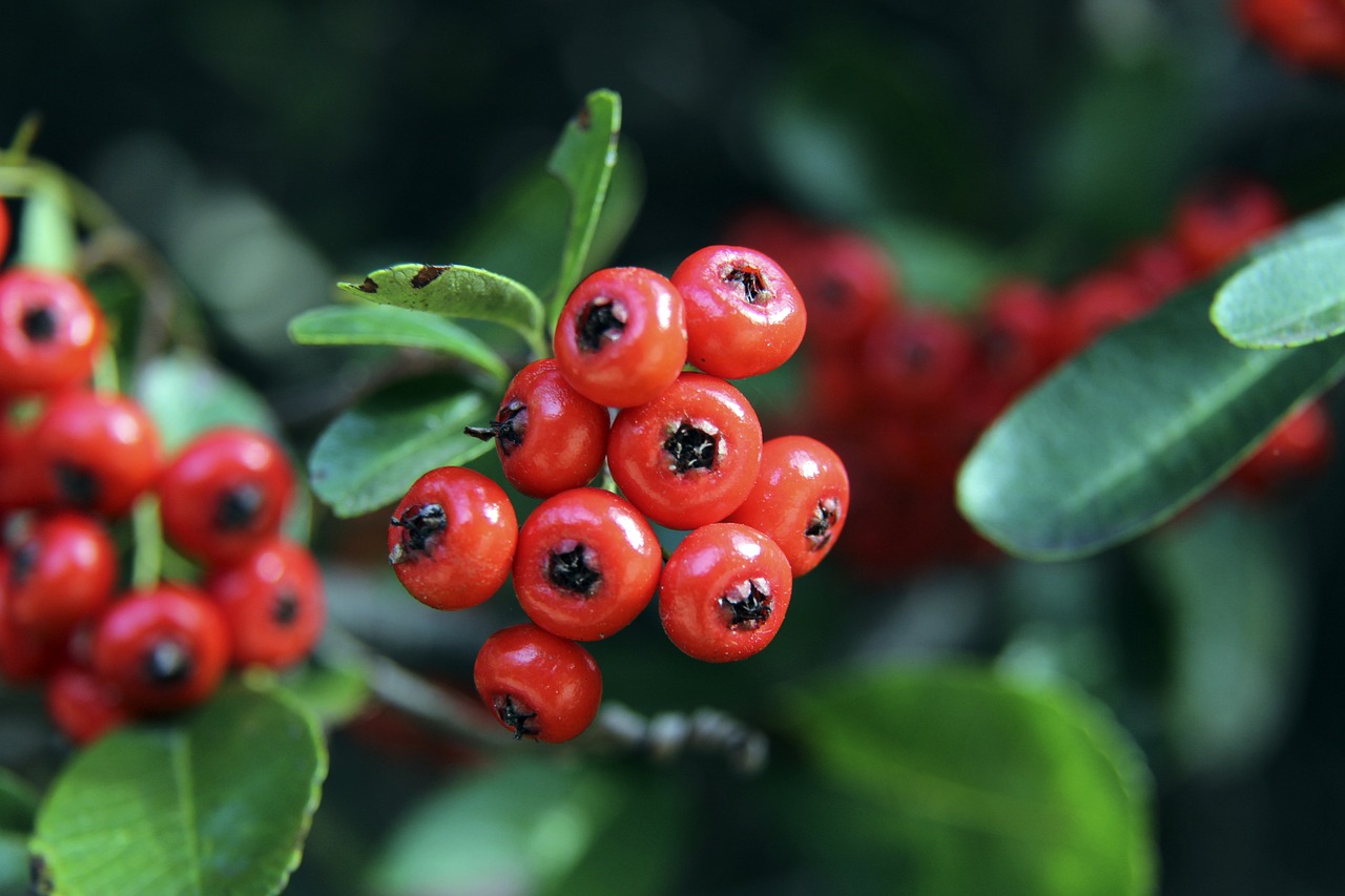 他们在比赛 他们在比赛