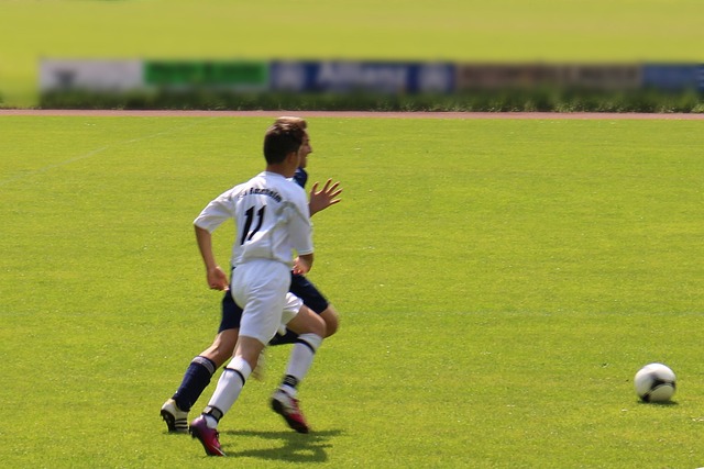 示了各自的 示了各自的