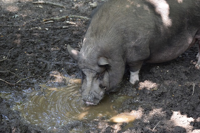 了自己的潜 了自己的潜