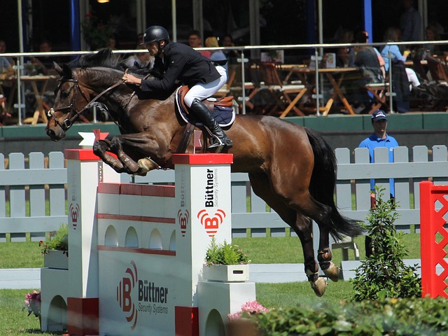 甄选赛也是 甄选赛也是